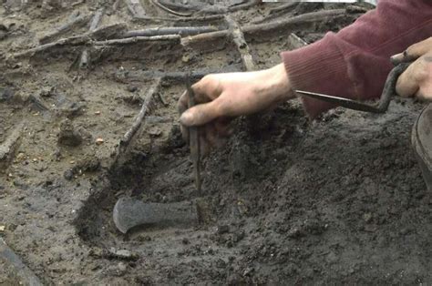 De Diepholzer Wald-vondst: Een kijkje in de bronstijd en de complexe relatie tussen mens en natuur